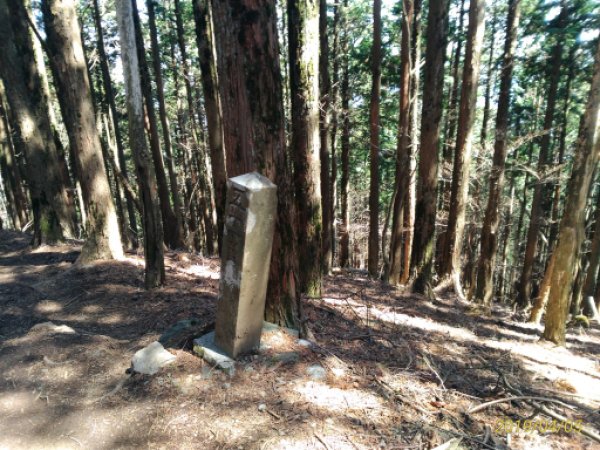 画像20